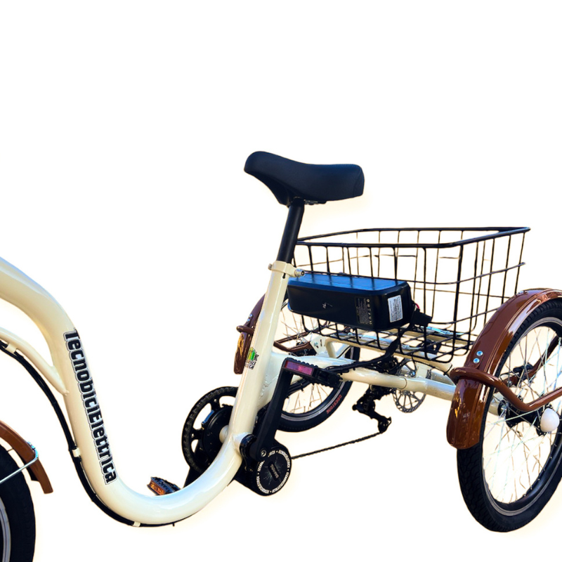 Pedalata Assistita Vendita Tandem Elettrici Triciclo Elettrico A