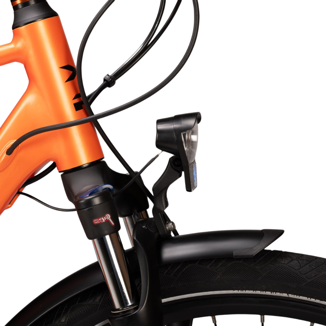 XP City Bike Elettrica da uomo - D9.1S