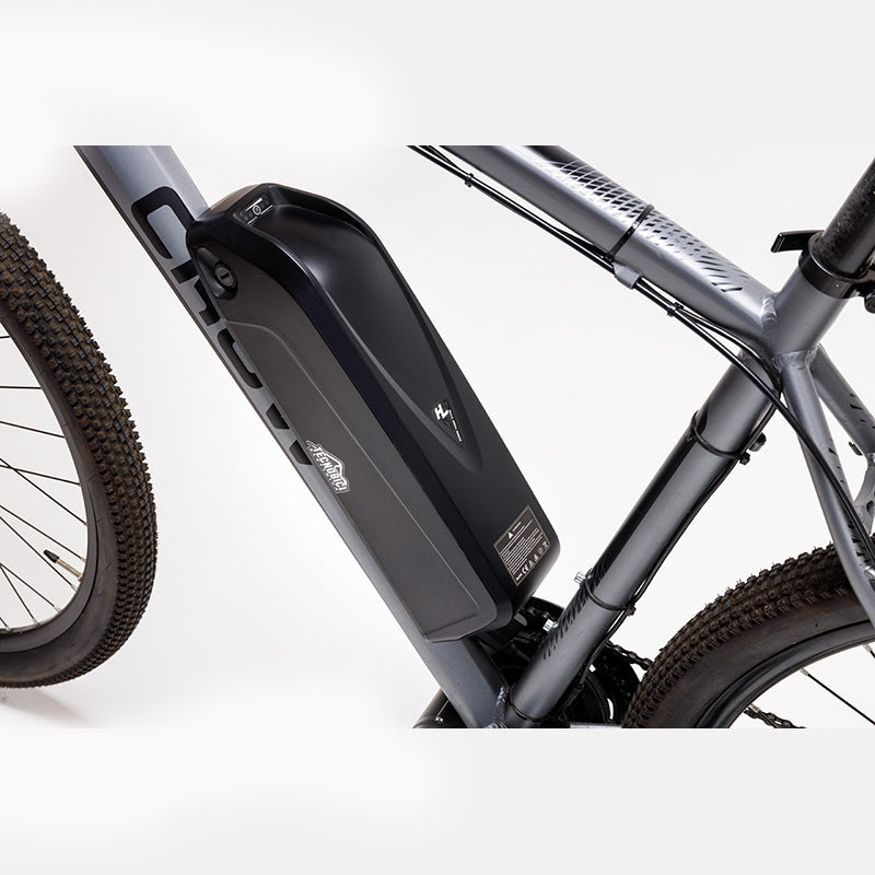 E-Bike MTB Bafang Crow 29 Titanio – Tecnobicielettrica