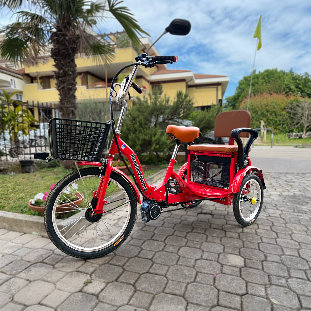 Triciclo con seduta posteriore
