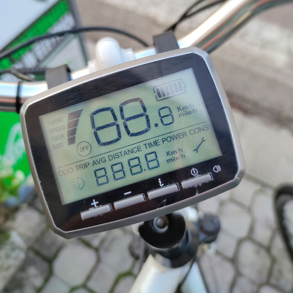 City bike-Trekking a pedalata assistita